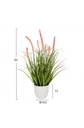 ΔΙΑΚΟΣΜΗΤΙΚΟ ΣΥΝΘΕΤΙΚΟ ΦΥΤΟ HM4029 BRISTLEGRASS ΣΕ ΓΛΑΣΤΡΑ Φ14,5x13-62Yεκ.