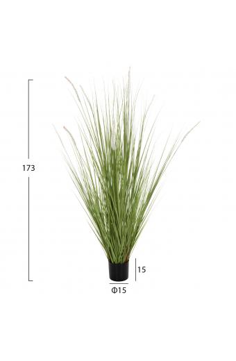 ΔΙΑΚΟΣΜΗΤΙΚΟ ΣΥΝΘΕΤΙΚΟ ΦΥΤΟ HM4017 BRISTLEGRASS ΣΕ ΓΛΑΣΤΡΑ 173Υεκ.