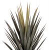 ΔΙΑΚΟΣΜΗΤΙΚΟ ΣΥΝΘΕΤΙΚΟ ΦΥΤΟ HM7987 SISAL AGAVE ΣΕ ΓΛΑΣΤΡΑ 120Υεκ.