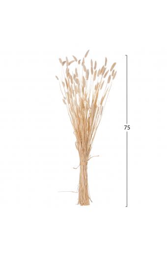 ΔΙΑΚΟΣΜΗΤΙΚΟ ΜΠΟΥΚΕΤΟ ΑΠΟΞΗΡΑΜΕΝΟ HM7959 RABBIT TAIL- CREAM 50gr 76Υεκ.