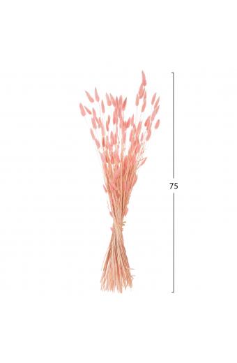 ΔΙΑΚΟΣΜΗΤΙΚΟ ΜΠΟΥΚΕΤΟ ΑΠΟΞΗΡΑΜΕΝΟ HM7960 RABBIT TAIL-PINK 75Υεκ.