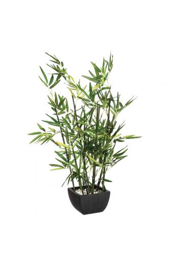 Φυτό σε γλάστρα Green pakoworld 43x34x67εκ
