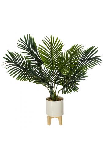 Φυτό σε γλάστρα Green4  pakoworld 83x75x65εκ