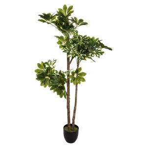 Φυτό σε γλάστρα Green6 pakoworld 70x65x135εκ