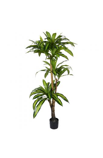 Διακοσμητικό φυτό Dracaena I σε γλάστρα Inart  πράσινο pp Υ170εκ