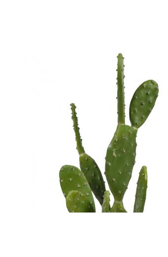 Διακοσμητικό φυτό Cactus σε γλάστρα Inart πράσινο pp Υ64εκ