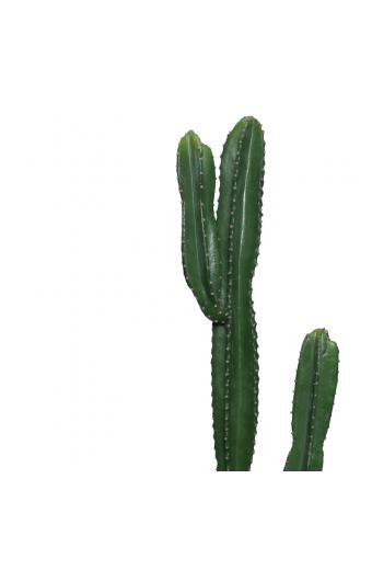 Διακοσμητικό φυτό Cactus I σε γλάστρα Inart πράσινο pp Υ155εκ