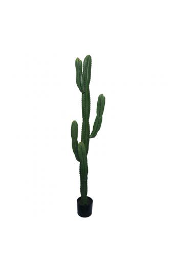 Διακοσμητικό φυτό Cactus I σε γλάστρα Inart πράσινο pp Υ155εκ