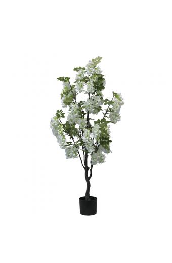 Διακοσμητικό φυτό Bean flowers σε γλάστρα Inart λευκό pp Υ125εκ
