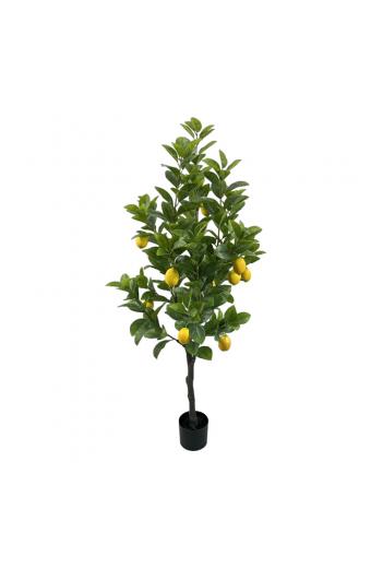 Διακοσμητικό φυτό Lemon tree σε γλάστρα Inart πράσινο pp Υ150εκ