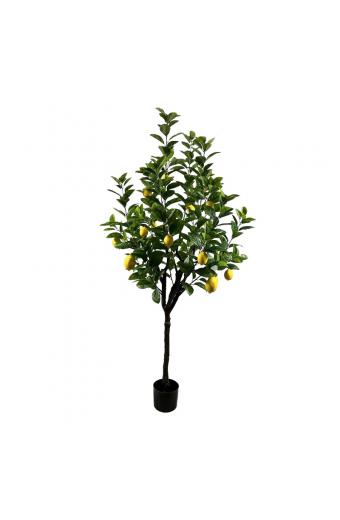 Διακοσμητικό φυτό Lemon tree σε γλάστρα Inart πράσινο pp Υ180εκ