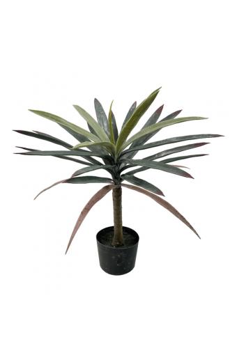 Διακοσμητικό φυτό Dracaena palm σε γλάστρα Inart πράσινο pp Υ62εκ