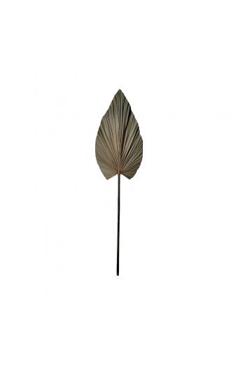 Διακοσμητικό φύλλο Leafen I Inart φυσικό palm leaf 130εκ